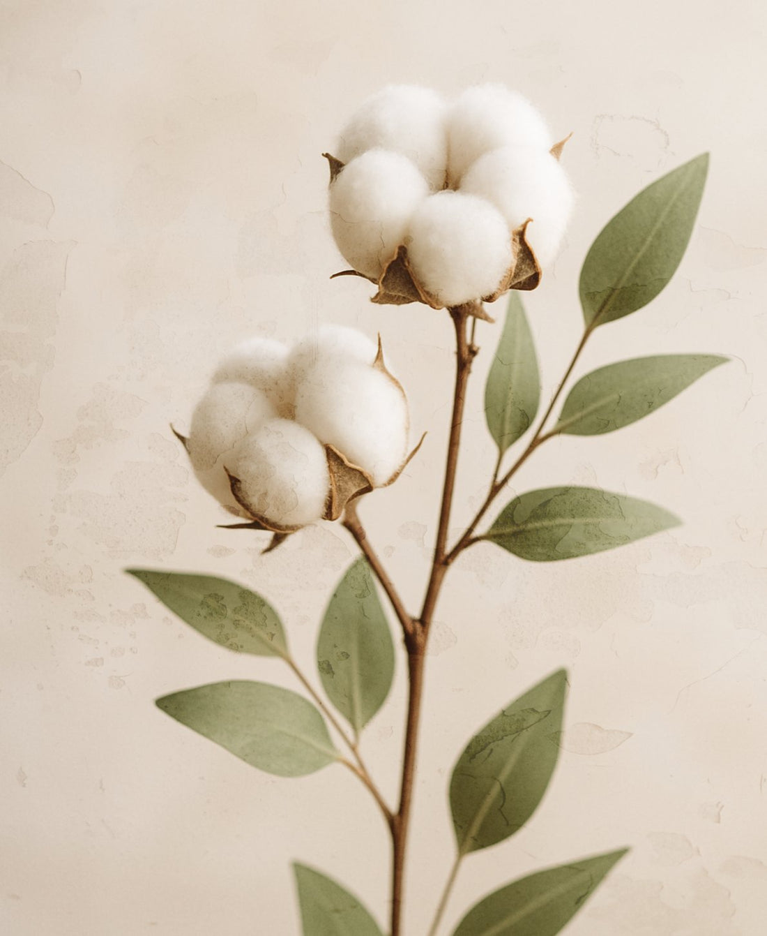 Verantwortungsvolle Produktion & hochwertige Textilien